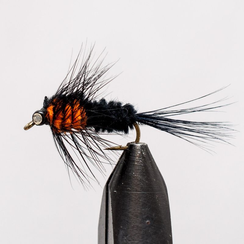 Montana Orange Ögon