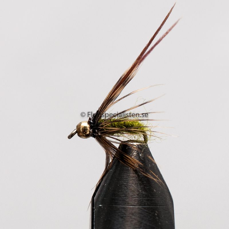 BH Caddis Pupa Olive 