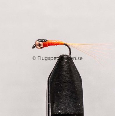 Perdigon nymfi 