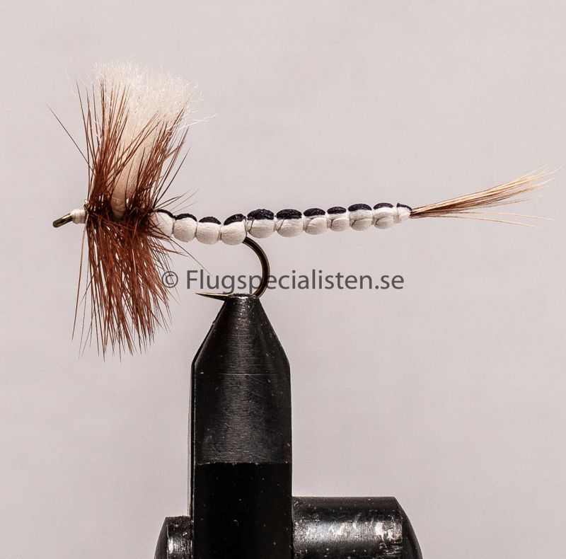 Mayfly Mohican Beige/White