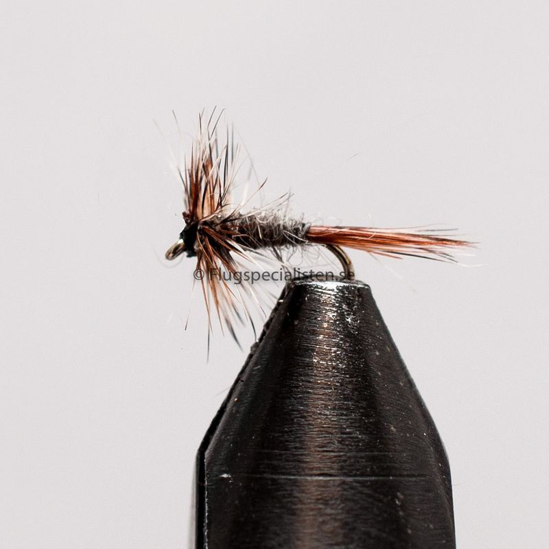 Midge Adams 