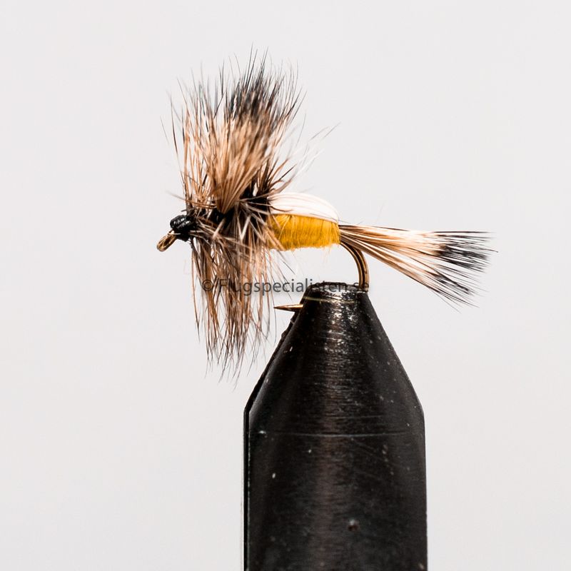 Humphy Yellow 