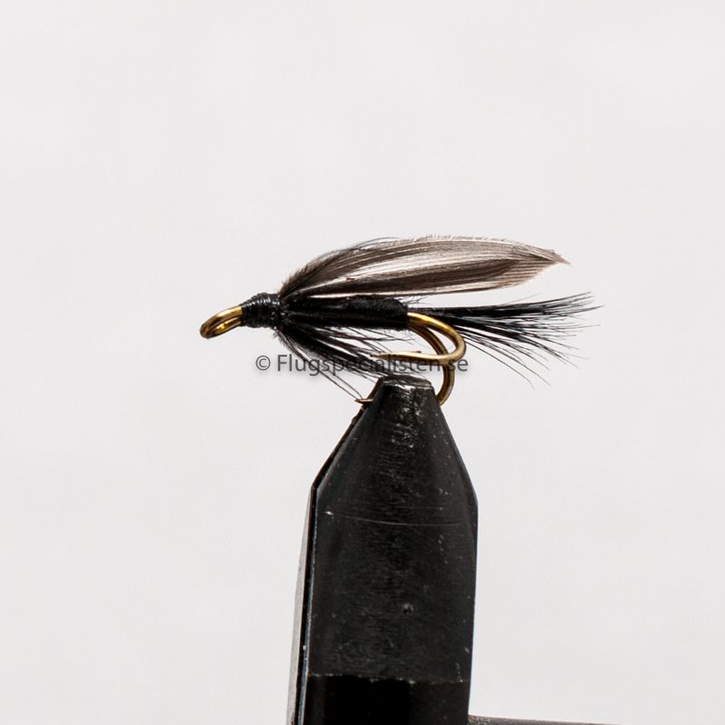 Black Gnat
