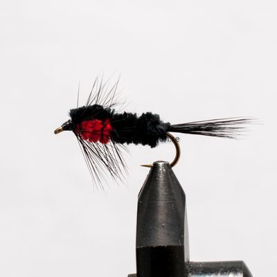 Montana röd