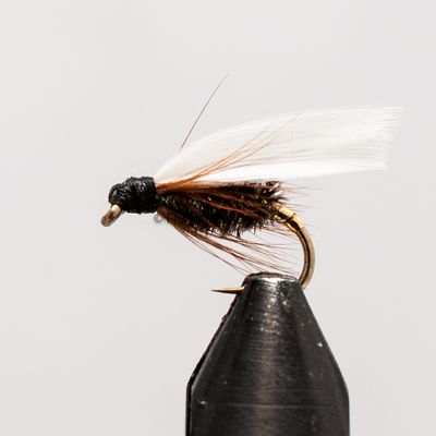 Coachman 