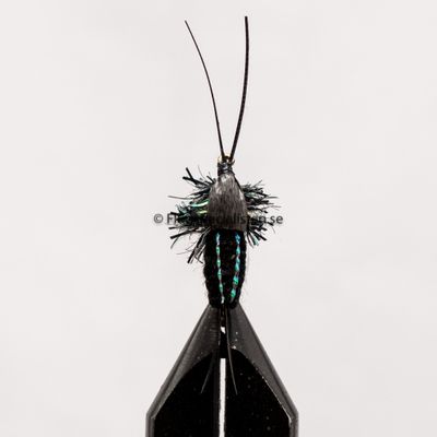 Woven Crawler