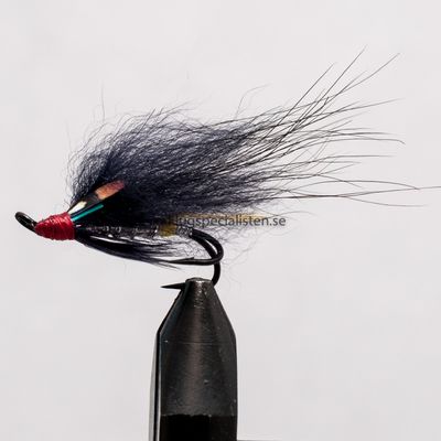 NIght Hawk 