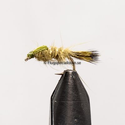 Hasenohr Olive 