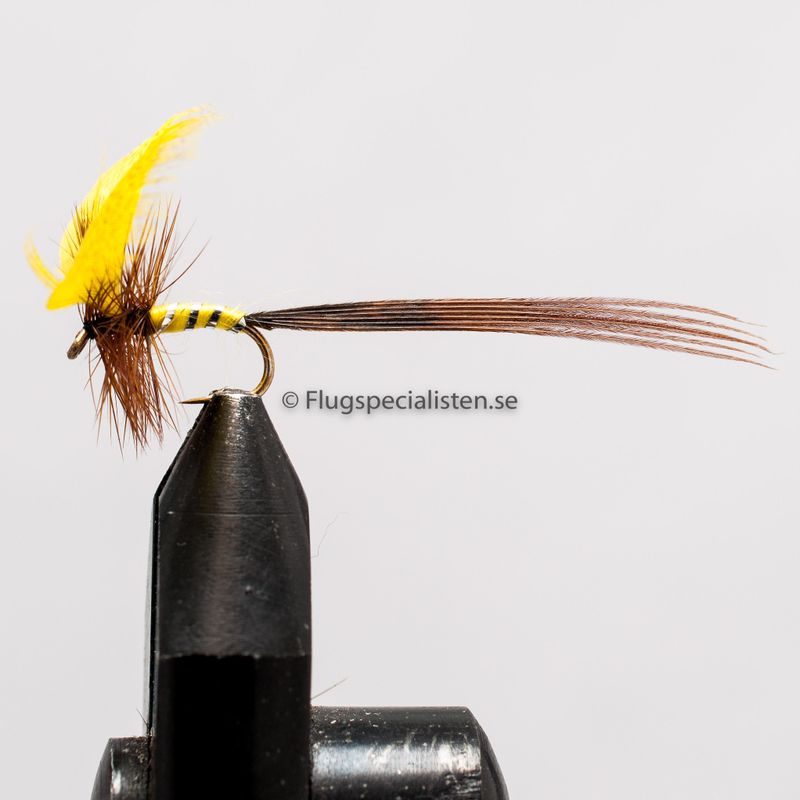 Mayfly Yellow Winged Fan 