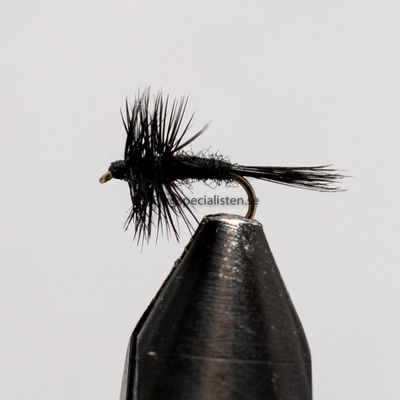 Midge Black 