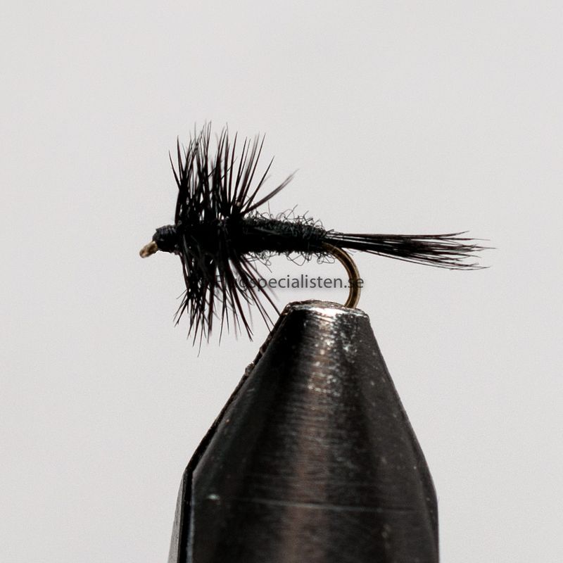 Midge Black 