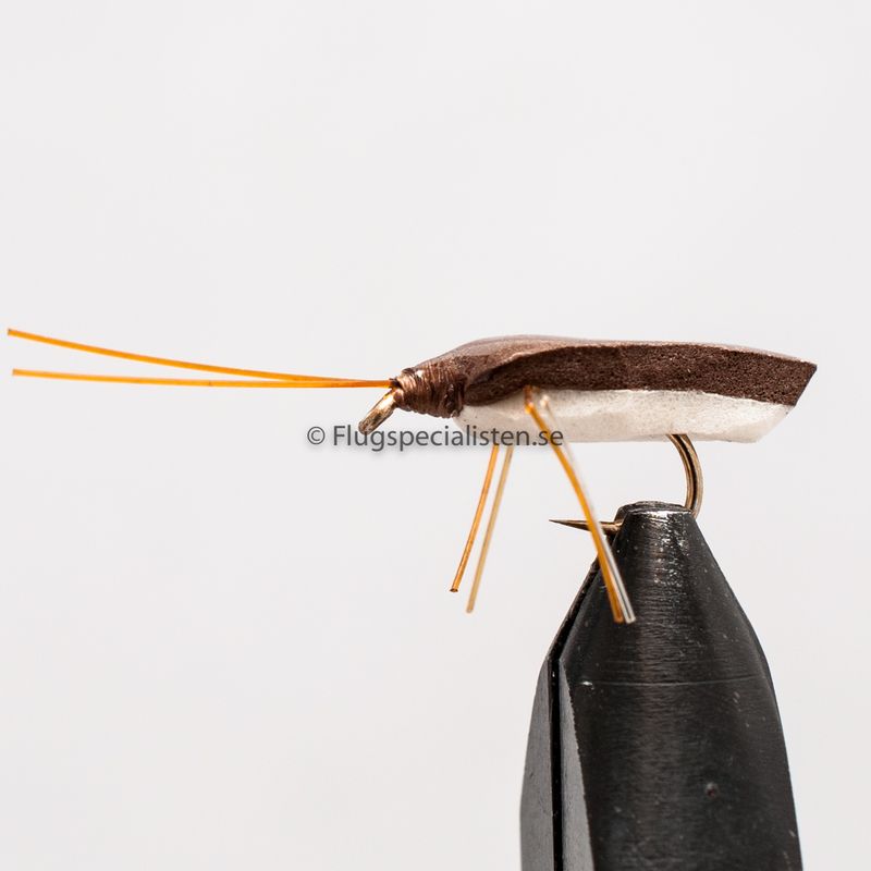 Shield Bug brown 