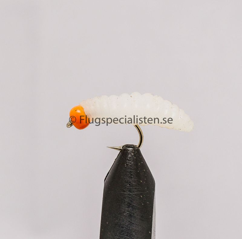 Maggot fluga