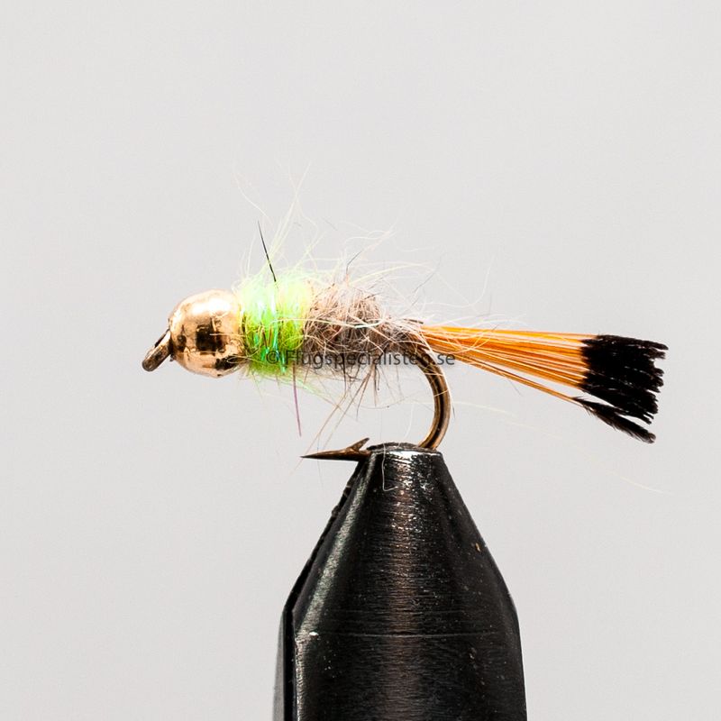 Royal coachman Tungsten