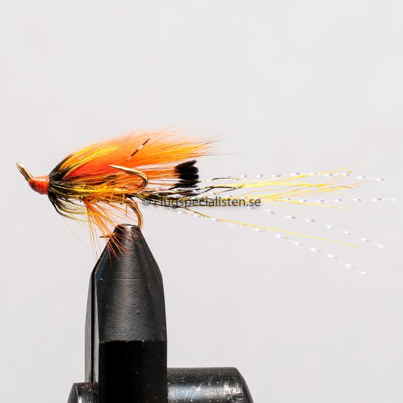 Finn Gold Shadow Shrimp