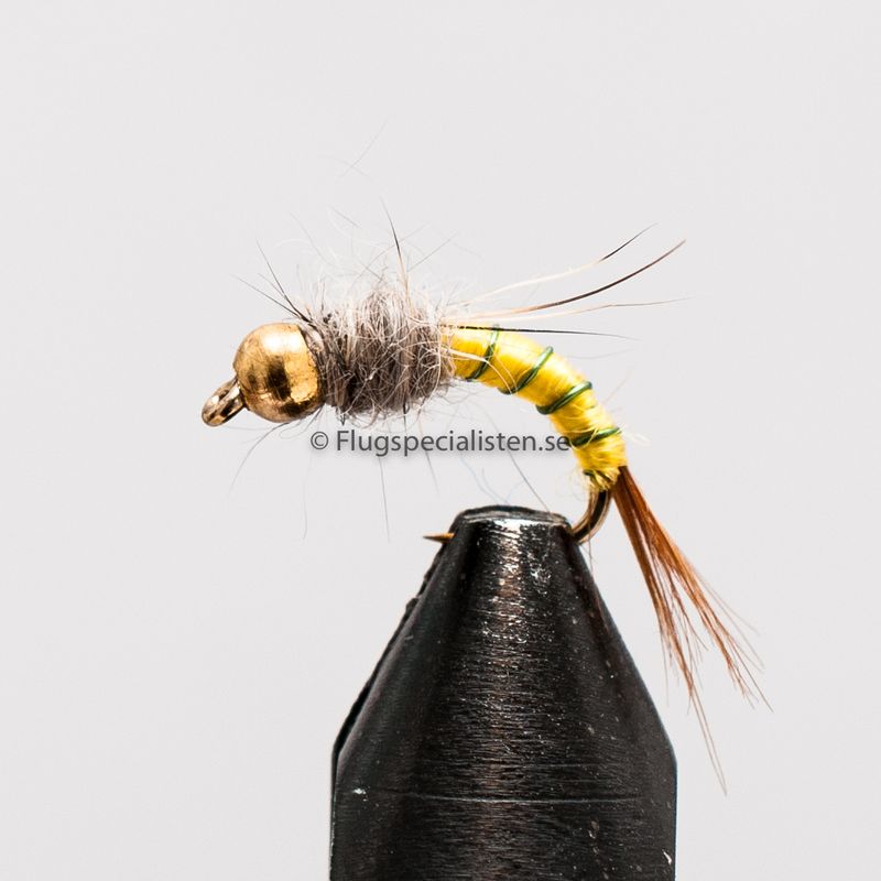 Czech Nymfe