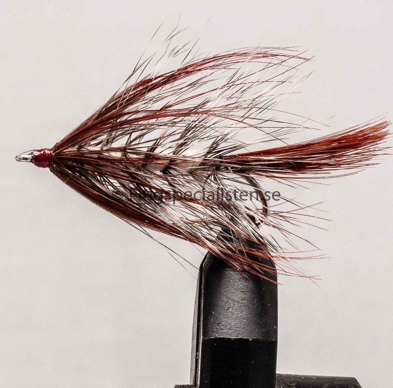 Autumn Fly