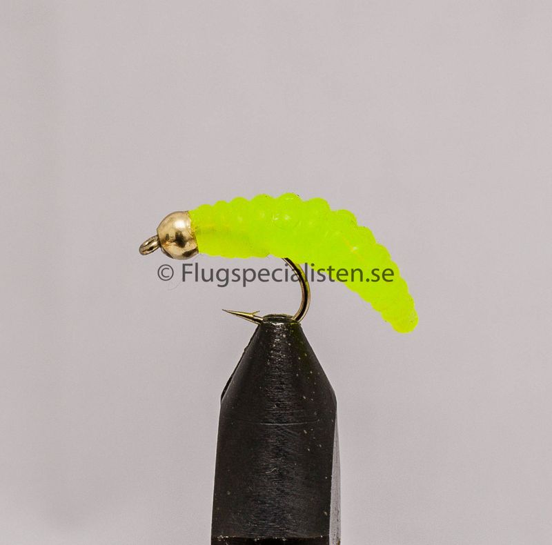 Maggotfliege