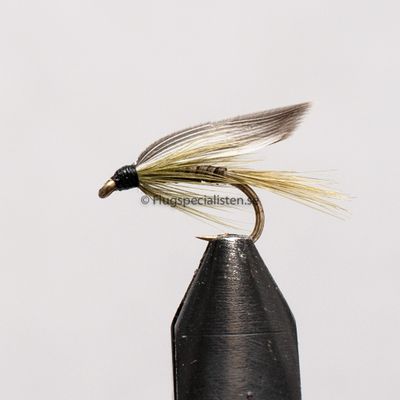 Olive Quill