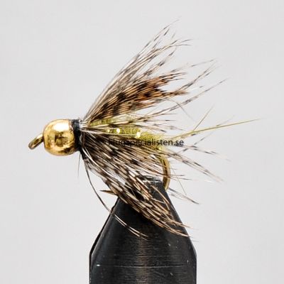 haröra spider