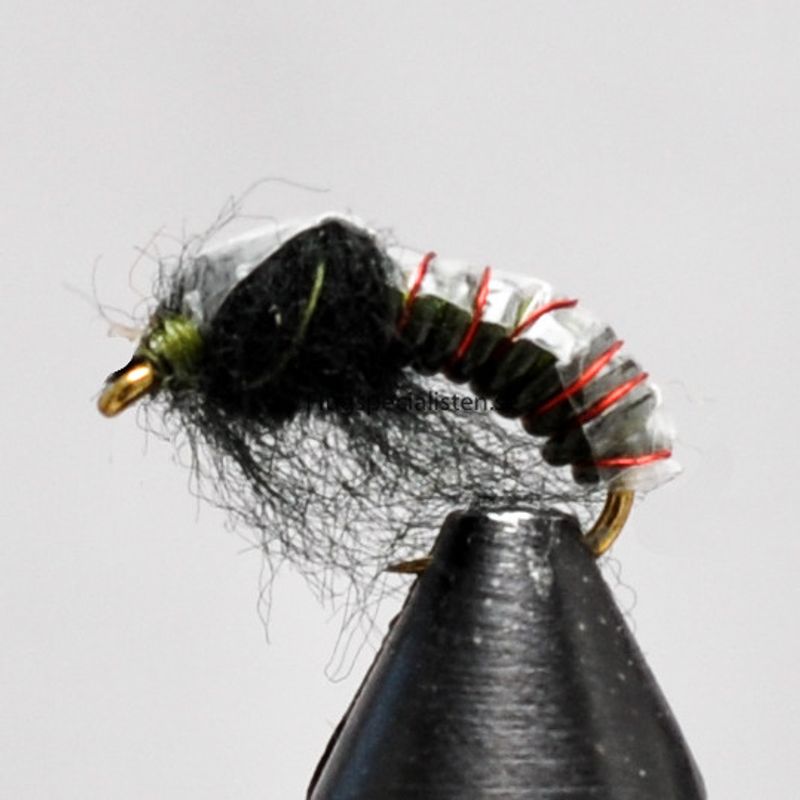 Czech Nymf