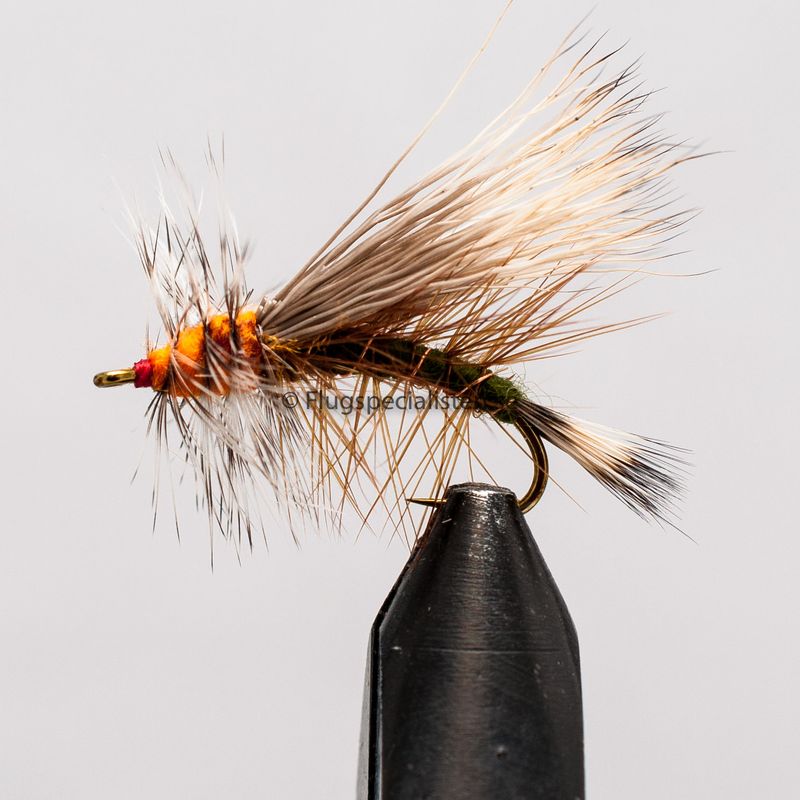 Stimulator Olive 