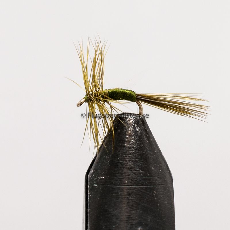 Midge Olive str. 20