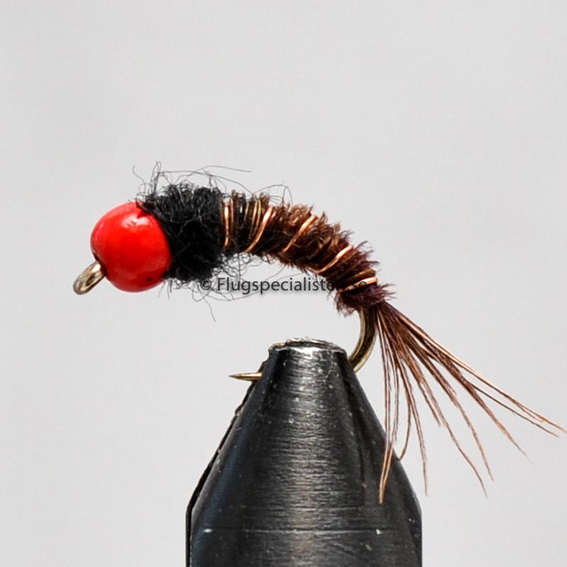 Czech Pheasant 