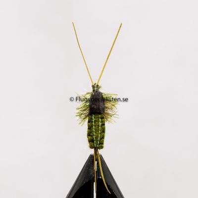 Woven Crawler
