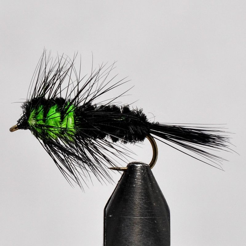 Montana Grønn 