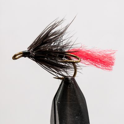 Black Zulu