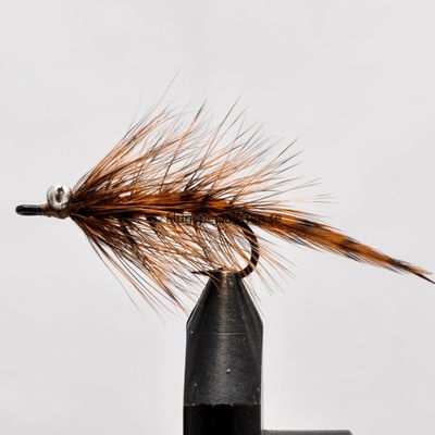 Magnus