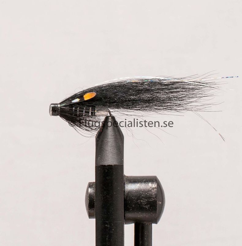 Salmo 2