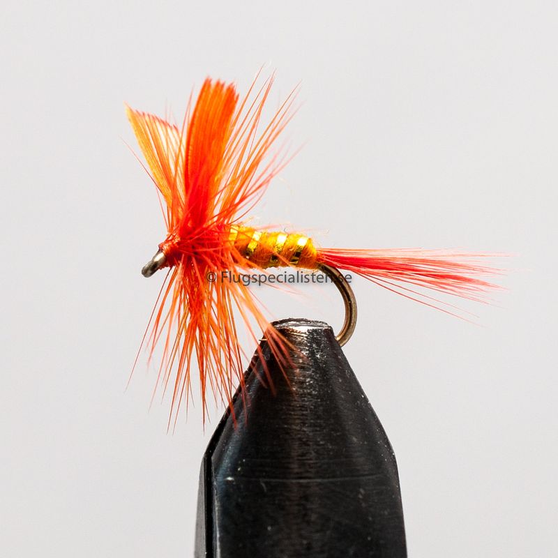 Orange Sally