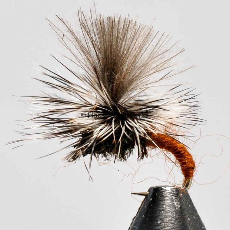 Klinkhammer Brun CDC