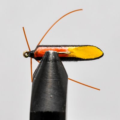 Buy Ismopuppa | Fly fishing is our thing | The flyspecialist