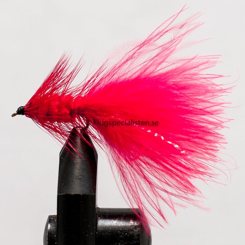 Woolly Bugger Red wtd