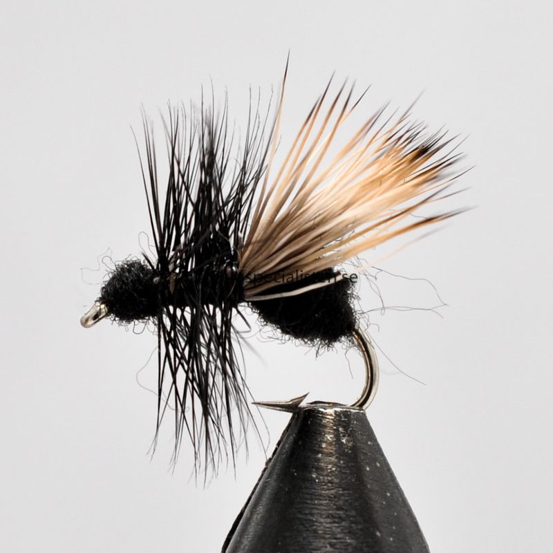 Ameise Caddis 