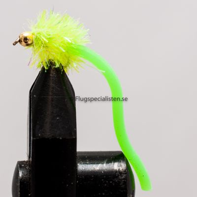 Squirmy str. 12