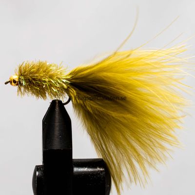 Goldkopf Oliv 