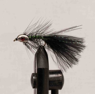 Fisky bugger 