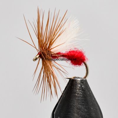 Ant Red 
