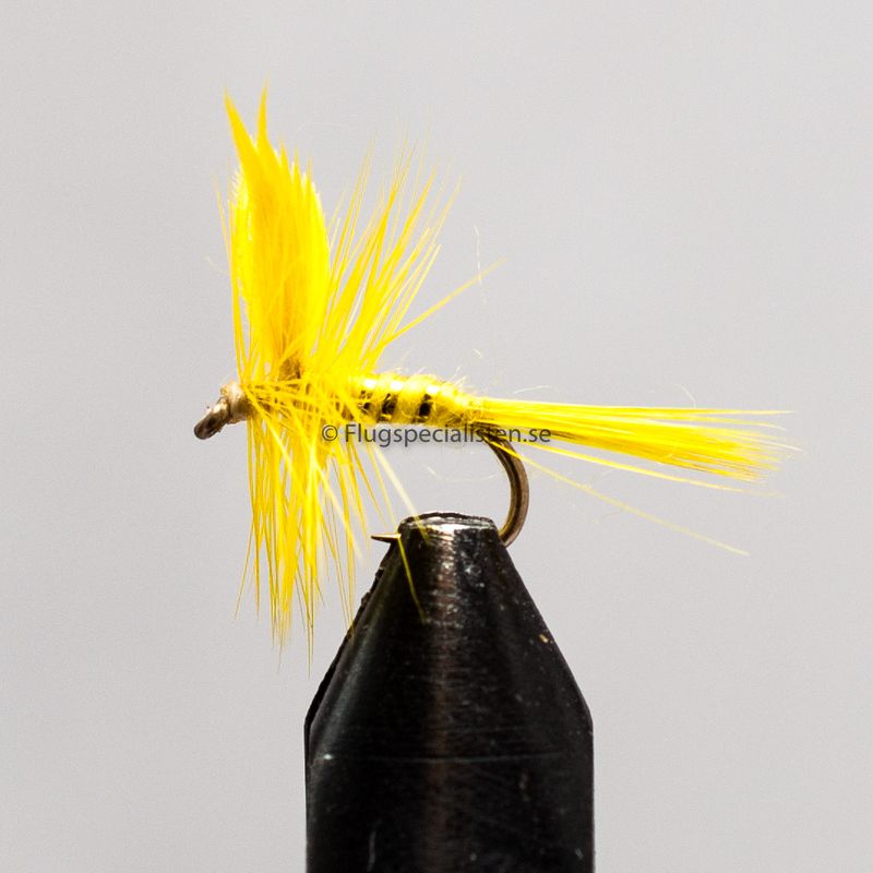 Yellow Sally