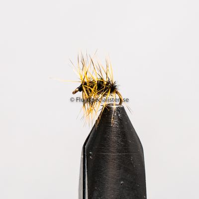 Griffith's gnat Olive 