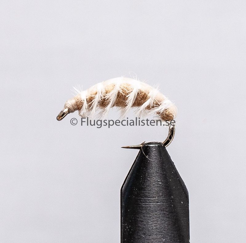 Gammarus