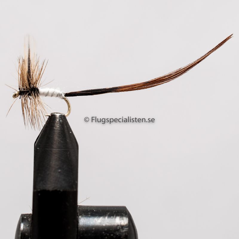 Mayfly Harmaa Winged Spent 