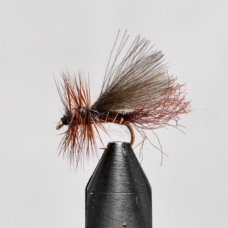 Emerger