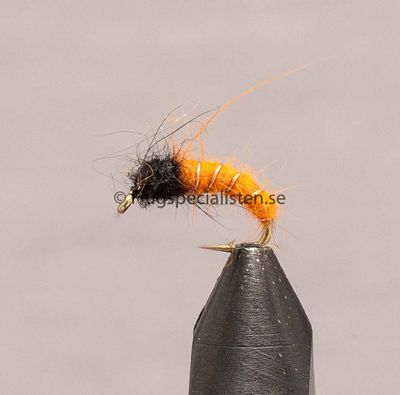 Czech nymfer