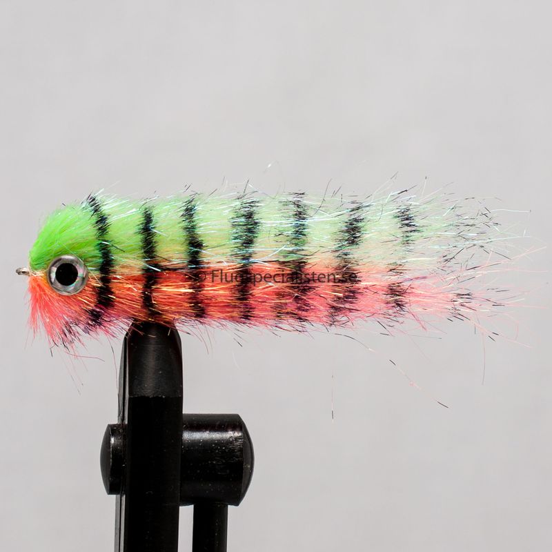 Baitfish