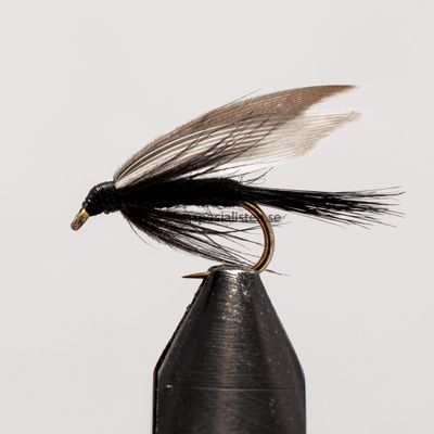 Black Gnat 